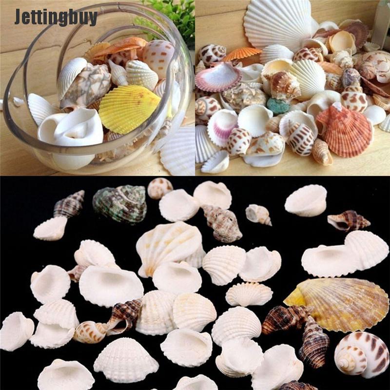 100g Beach Mixed SeaShells Sea Shells Shell Craft SeaShells Aquarium Decor Random