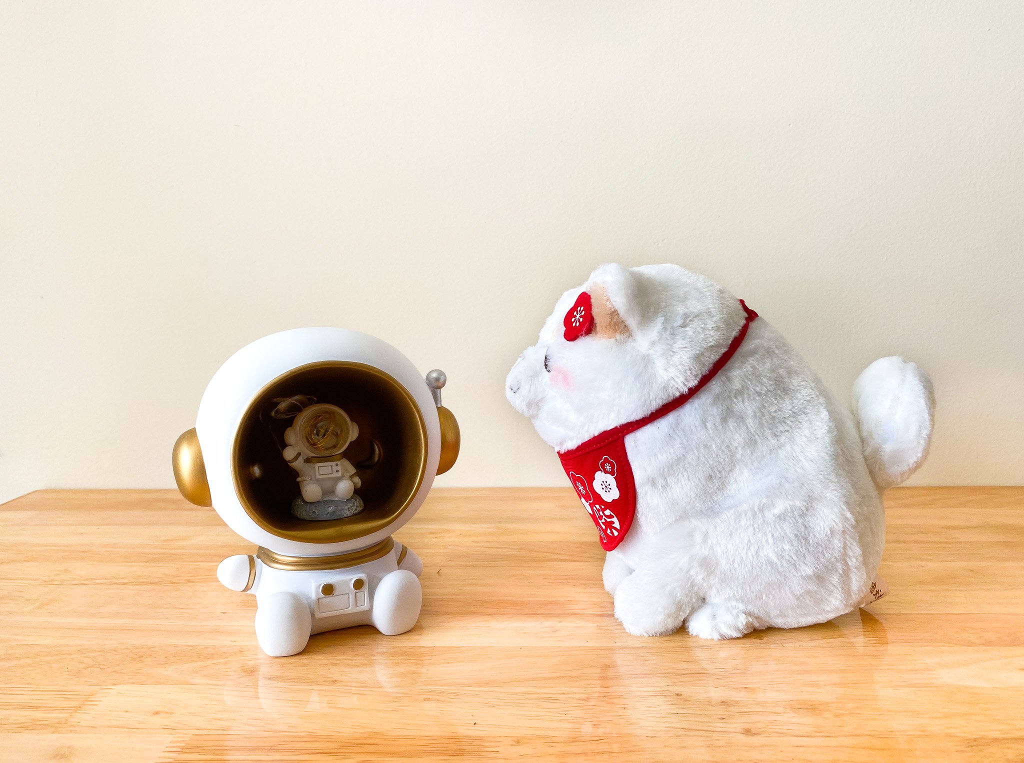 Combo gấu bông Mochi Shiba Sakura