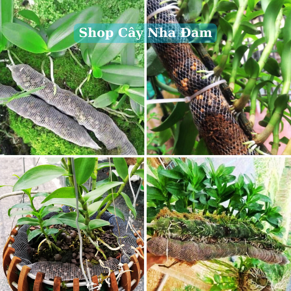 Phân Dê Túi Lưới Bón Lan, Hoa, Cây Kiểng, Đã Qua Xử Lý (Dài10 - 20 - 30Cm)