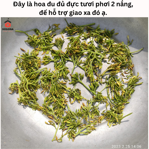 Hoa Đu Đủ Đực Tươi ( Hoa Thu Đủ Đực Tươi) - RẤT TỐT CHO SỨC KHỎE