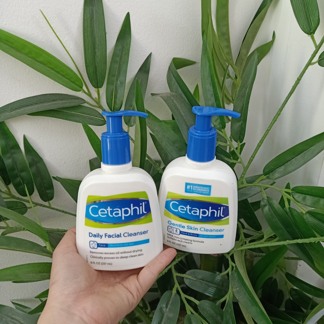 [HCM]SỮA RỮA MẶT CETAPHIL 237ML