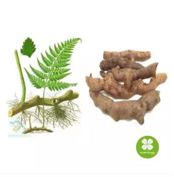 Tắc Kè Đá (cốt toái bổ) - 1KG - LV114