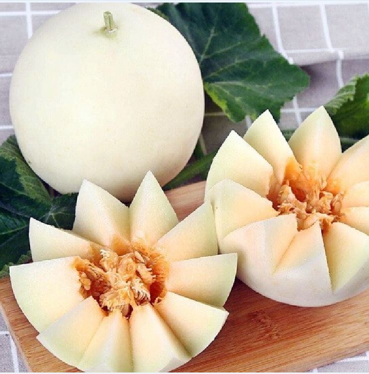 " Gói 20 "Hạt giống dưa lê bạch tuyết [Seeds]