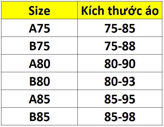 Áo Lót Nữ Trơn Mút Ép Mỏng Có Gọng Cài Sau 2 Móc Lady 533