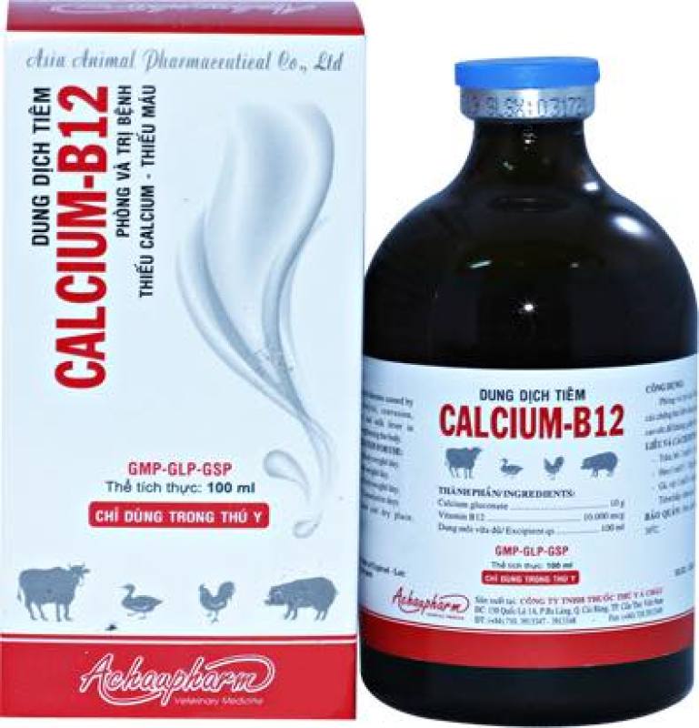 [ Hàng Chính Hãng] Calcium B12 [100 ml] Gà đá phòng các chứng thiếu calcium, thiếu máu