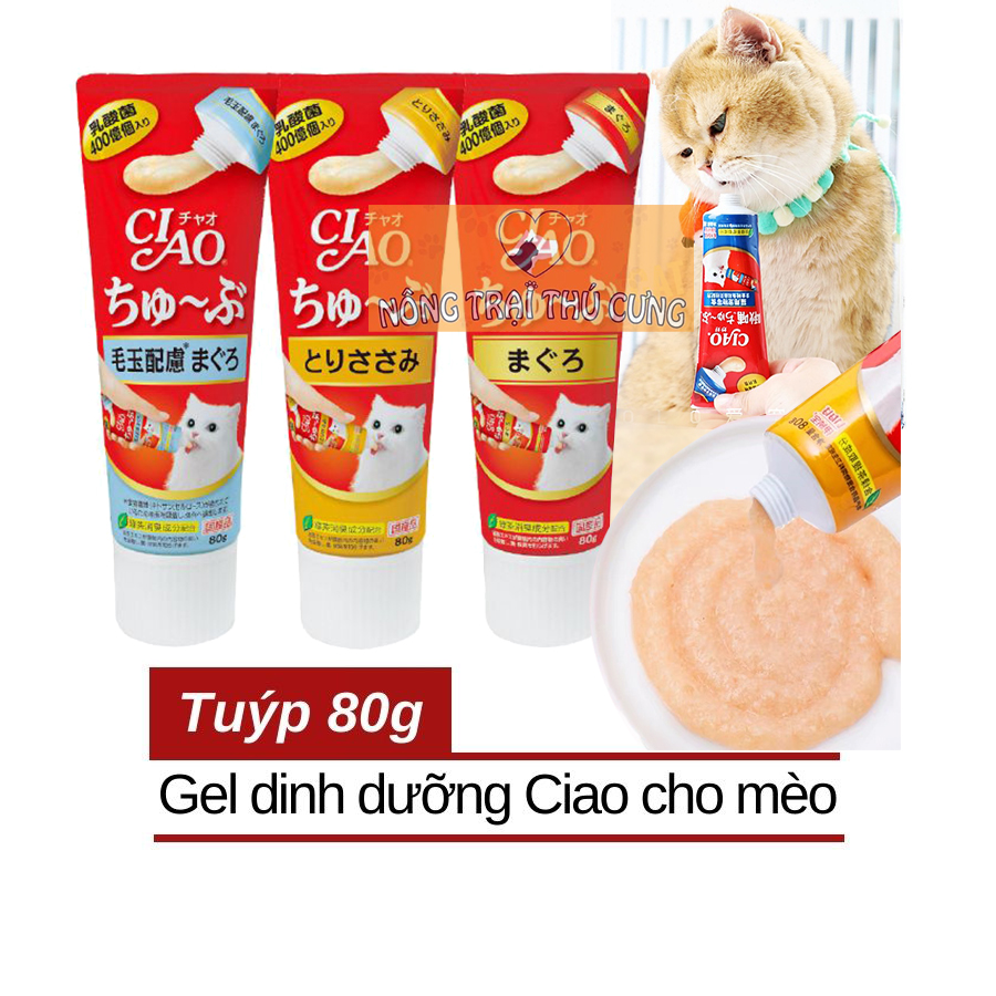 Súp thưởng cho mèo ciao churu tuýp 80g -