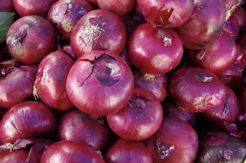 HÀNH ẤN ĐỘ LOẠI 1 , LỰA CHỌN KỸ, HÀNH KHÔ ĐẸP (hành tím khô, hành tím ấn độ, hành tím, tỏi tím, tỏi cô đơn, tỏi bắc, tỏi đen)