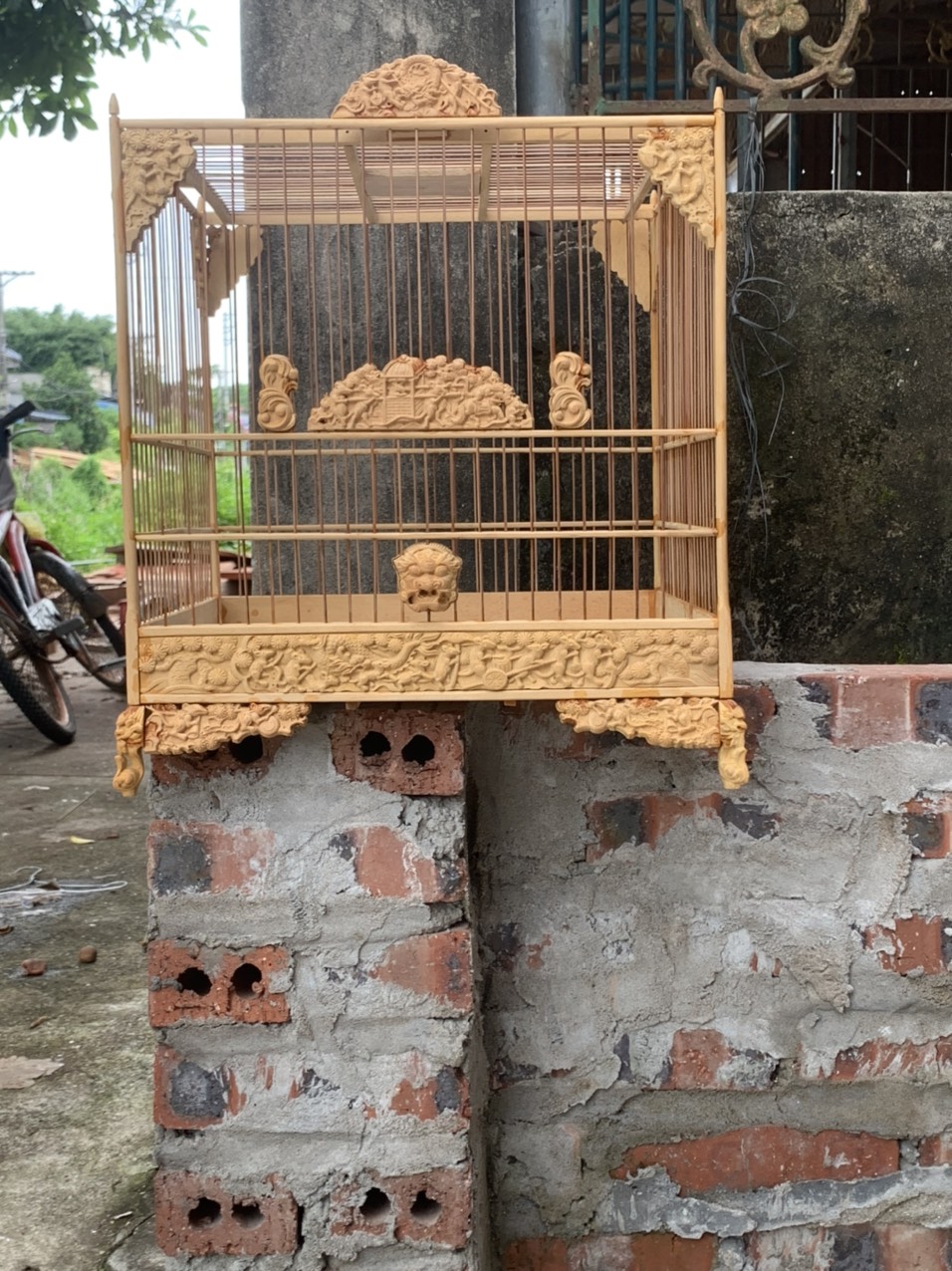 khung lồng chim chào mào