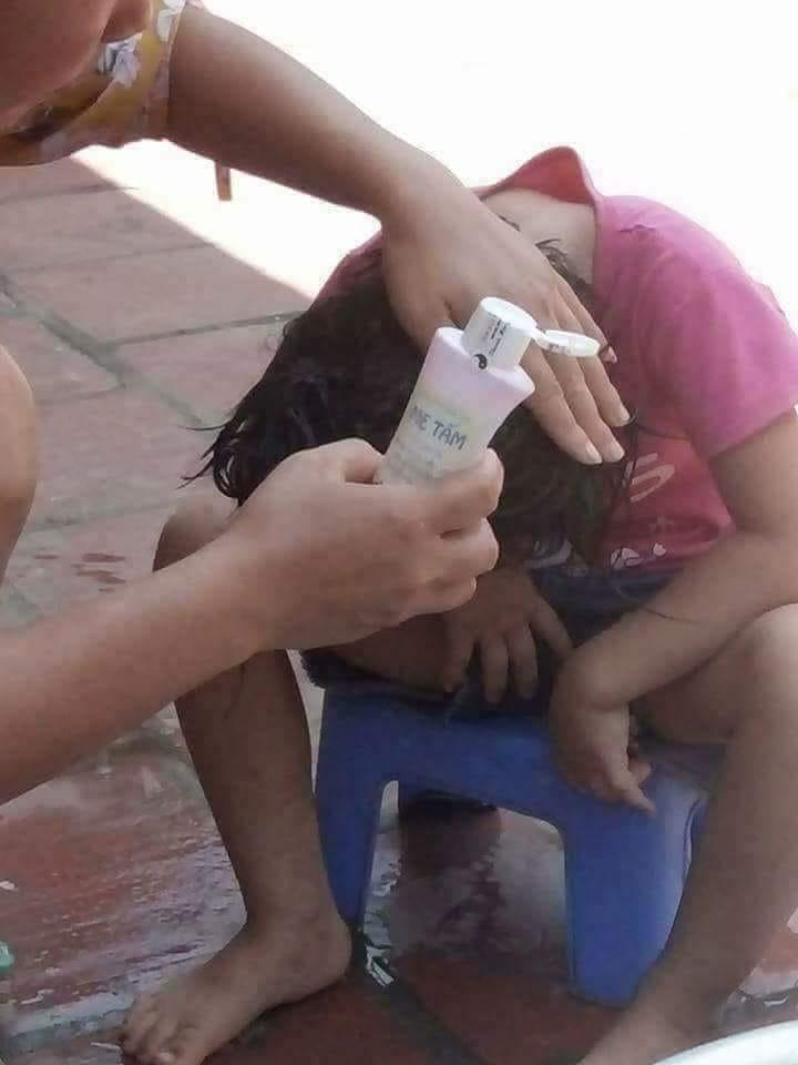 Dầu gội thảo mộc tri chấy Chị Tấm