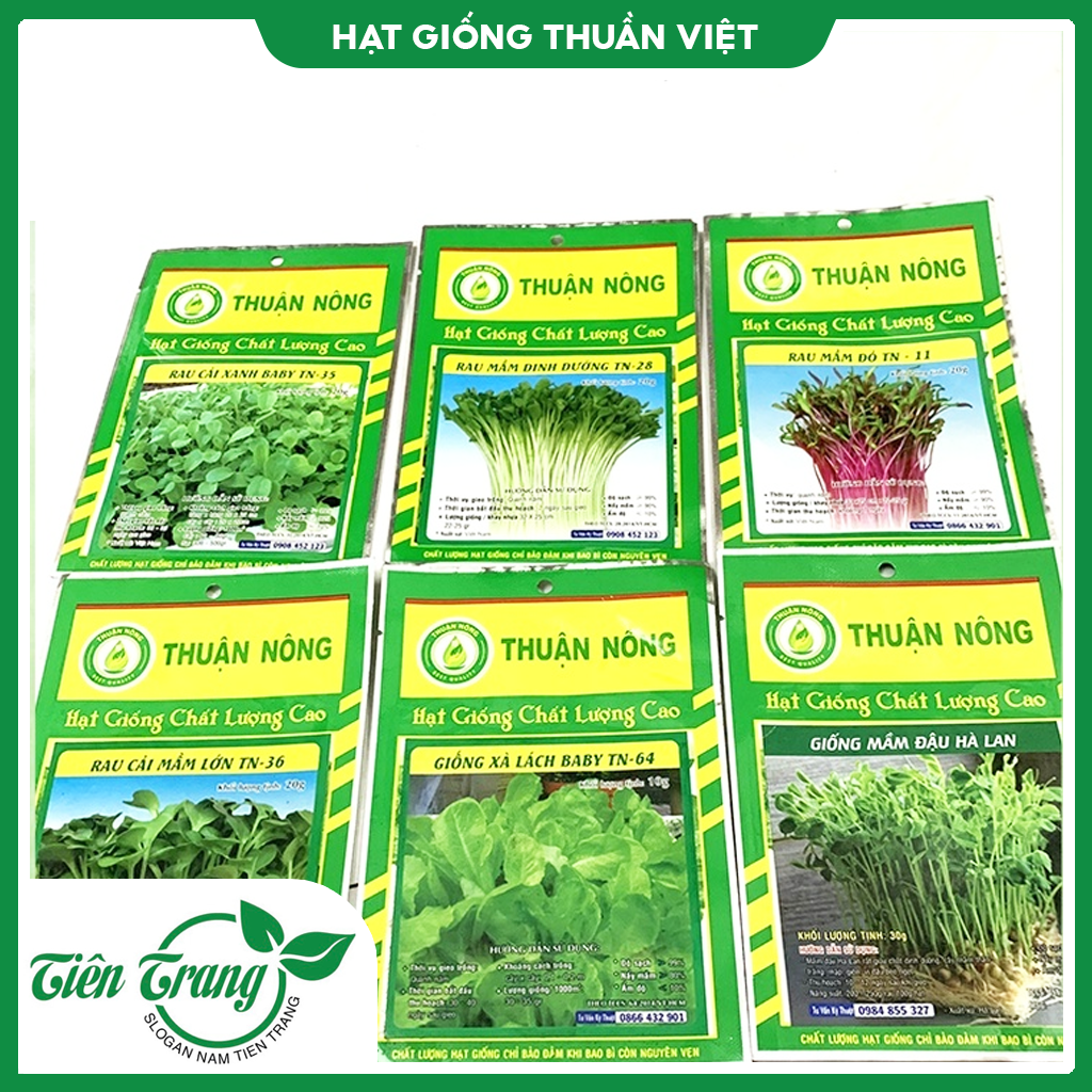 COMBO 10 gói (tặng 1 gói) hạt giống Rau Mầm [Đủ loại] dễ trồng