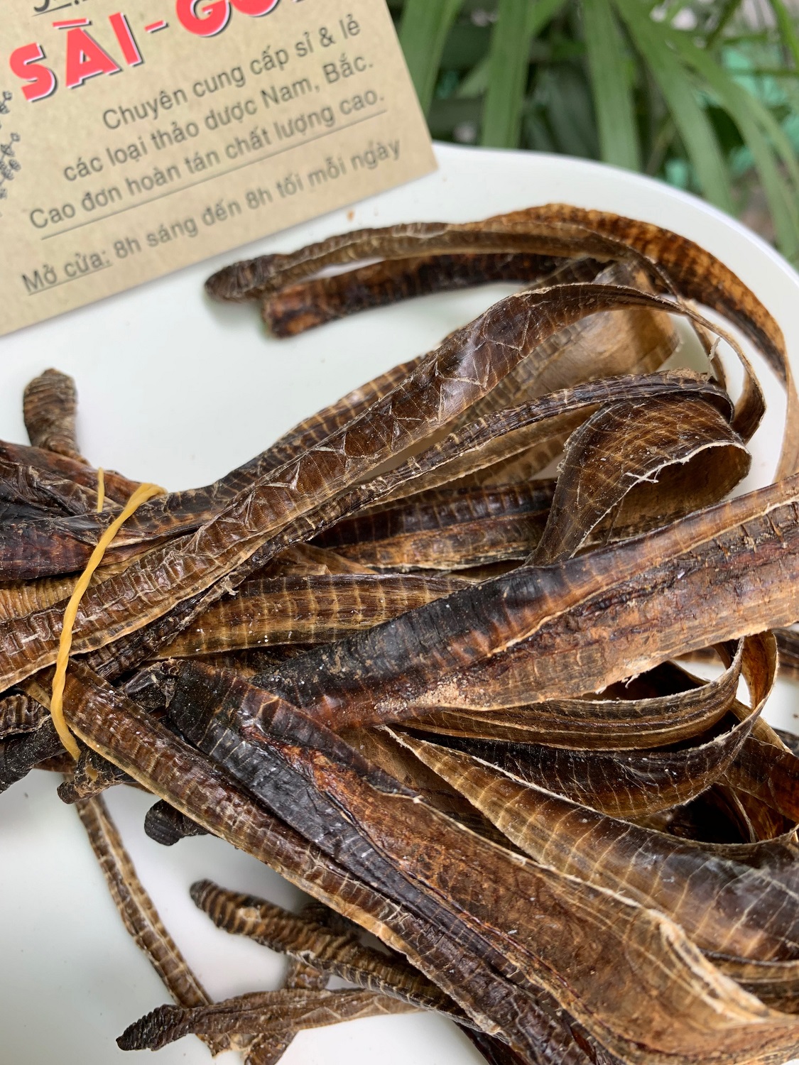 [HCM]Địa Long Khô Sạch Đẹp 100g