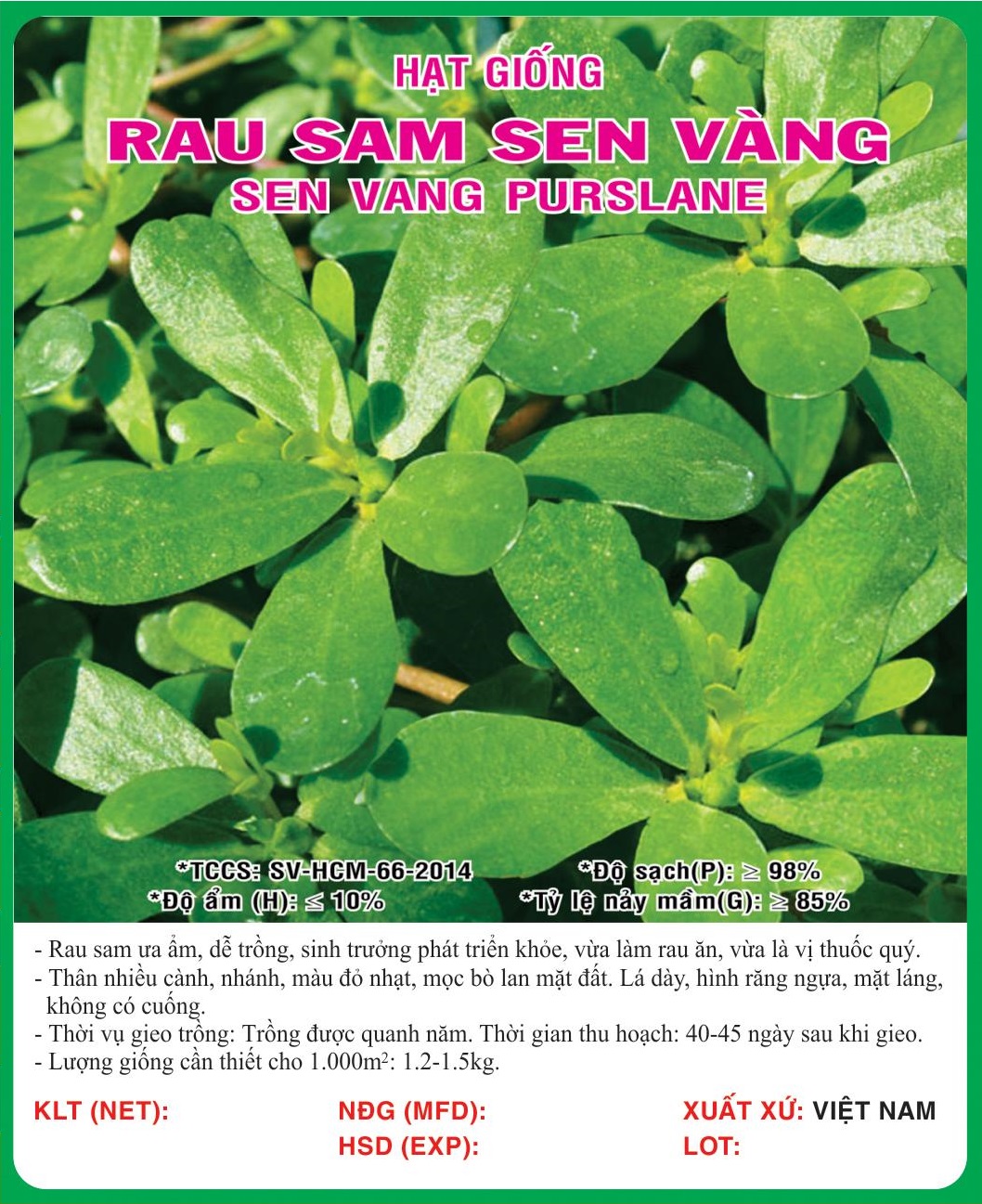 Hạt giống rau sam - sâm đất VTS81 | Vạn Tín Store