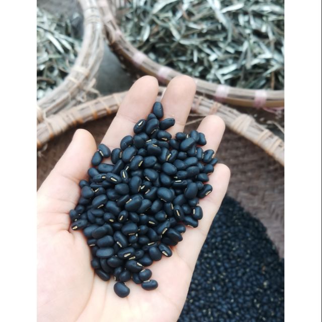 Xem hình đậu đen xanh lòng để khám phá loại đậu đen có lớp vỏ màu xanh lá cây bên trong, tạo nên vẻ đẹp độc đáo. Ngoài ra, đậu đen xanh lòng còn là thực phẩm giàu dinh dưỡng, tốt cho sức khỏe và có nhiều cách chế biến ngon miệng.