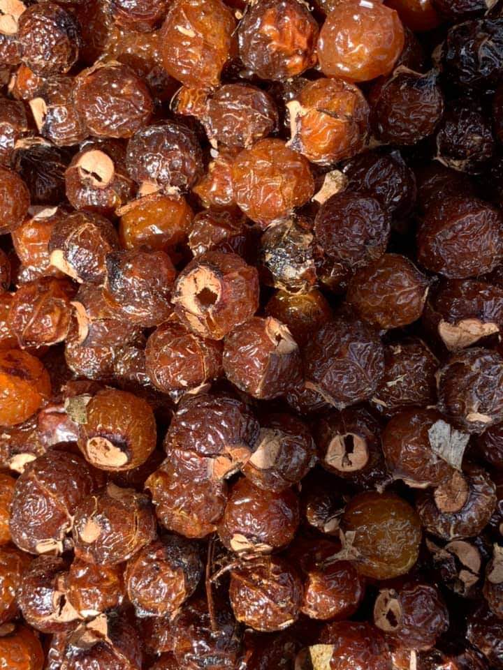 5kg bồ hòn tách hạt tặng 200g bột bồ hòn