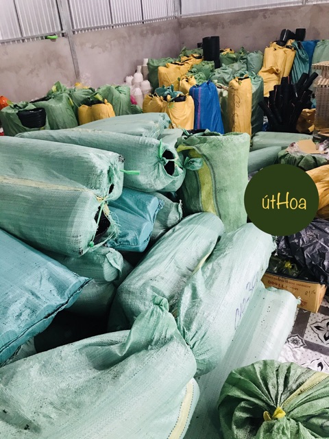 100 chậu nhựa đen c8 trồng cây, ươm cây (dày)