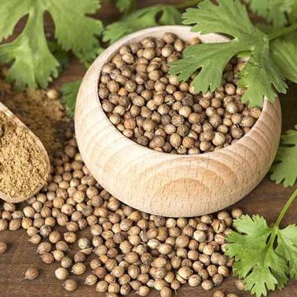 1Kg Hạt ngò / Hạt mùi khô thơm loại 1 - Sỉ giá tốt