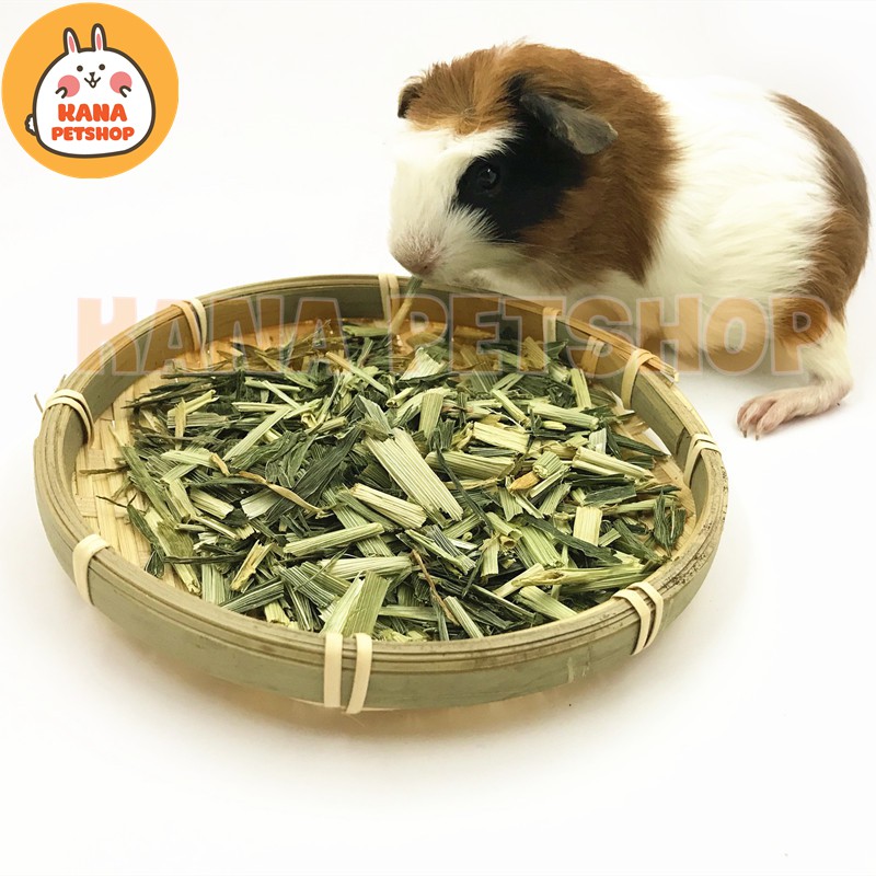 Cỏ Lúa Mạch 🐹FREESHIP🐹 50 Gram Cỏ Lúa Mạch Thức ăn dành cho Thỏ Và Bọ