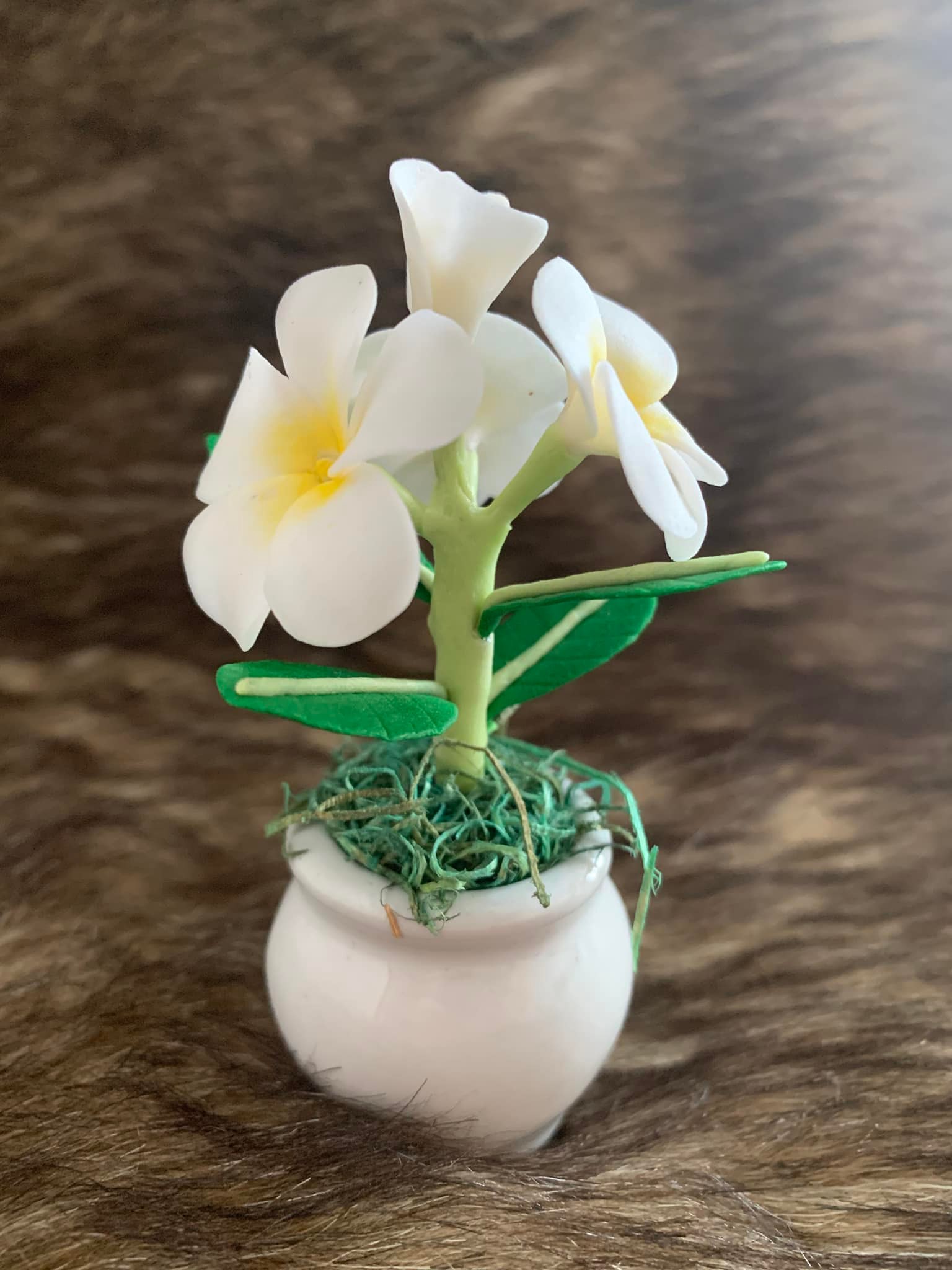 Hoa sứ đất sét mini