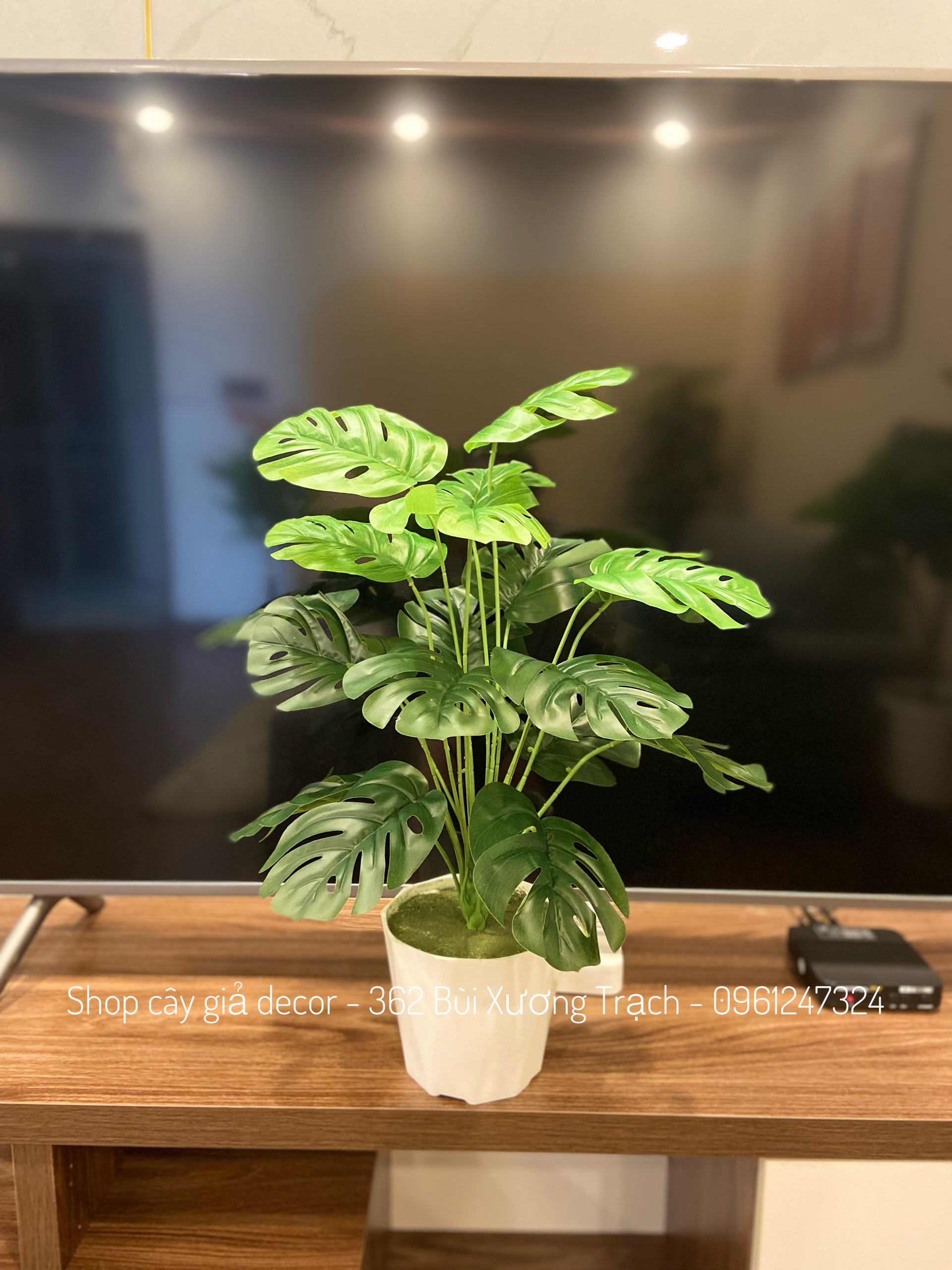 Cây giả - cây lá rùa 50cm