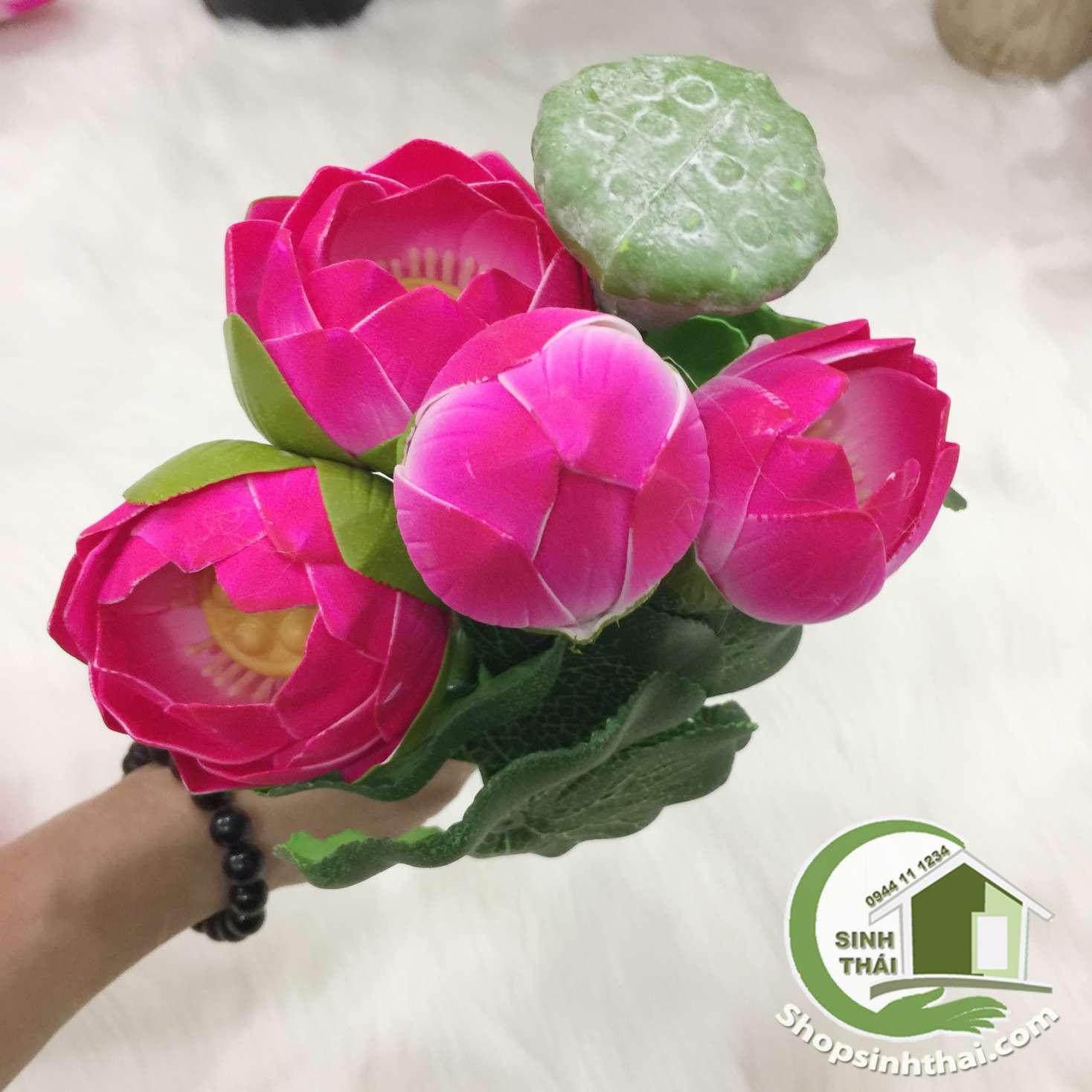 [HCM]Hoa Sen Giả - bụi sen nhỏ