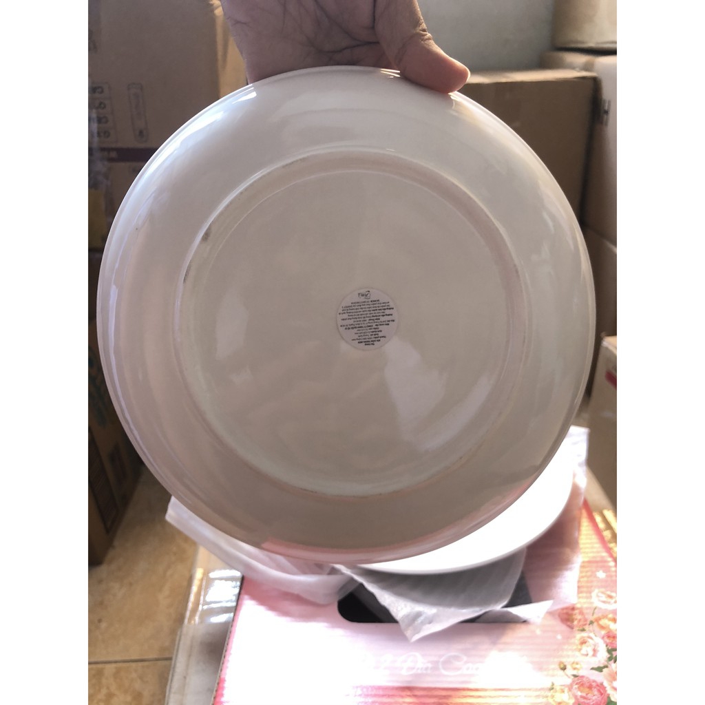 Combo 6 đĩa sứ cao cấp trắng tinh, dày dặn 20.5cm