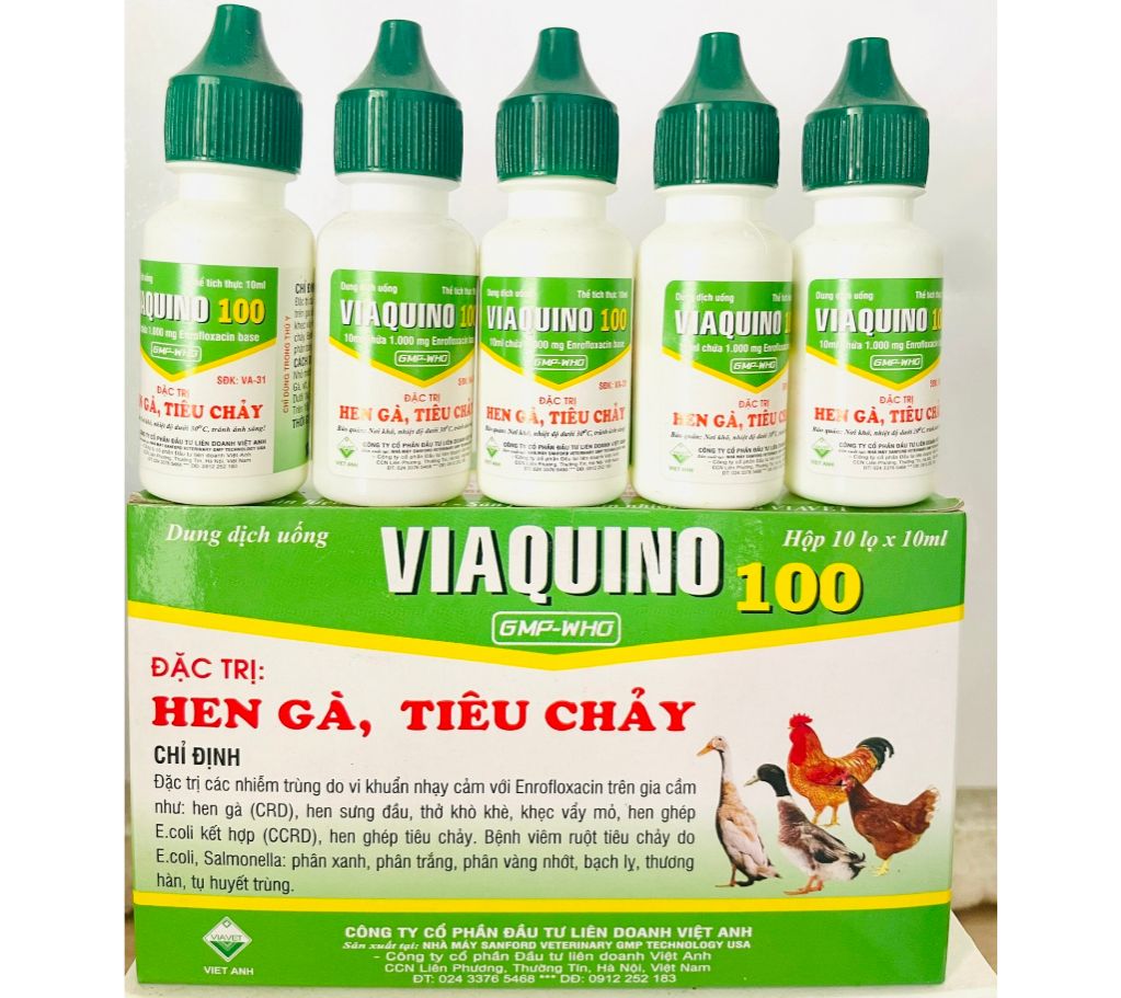 Viaquino(10ml) Hen ga, tiêu chảy phân xanh, phân trắng cho gà