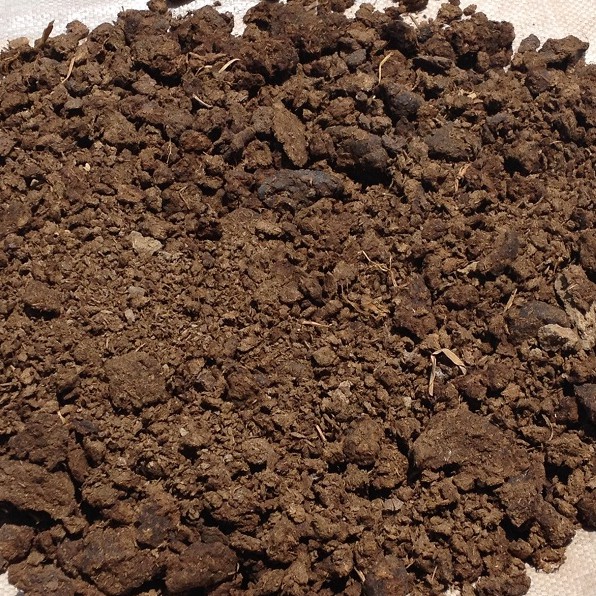 Phân Bò Khô Đã Xử Lý Bao (10dm3) (vườn ươm eakamart)