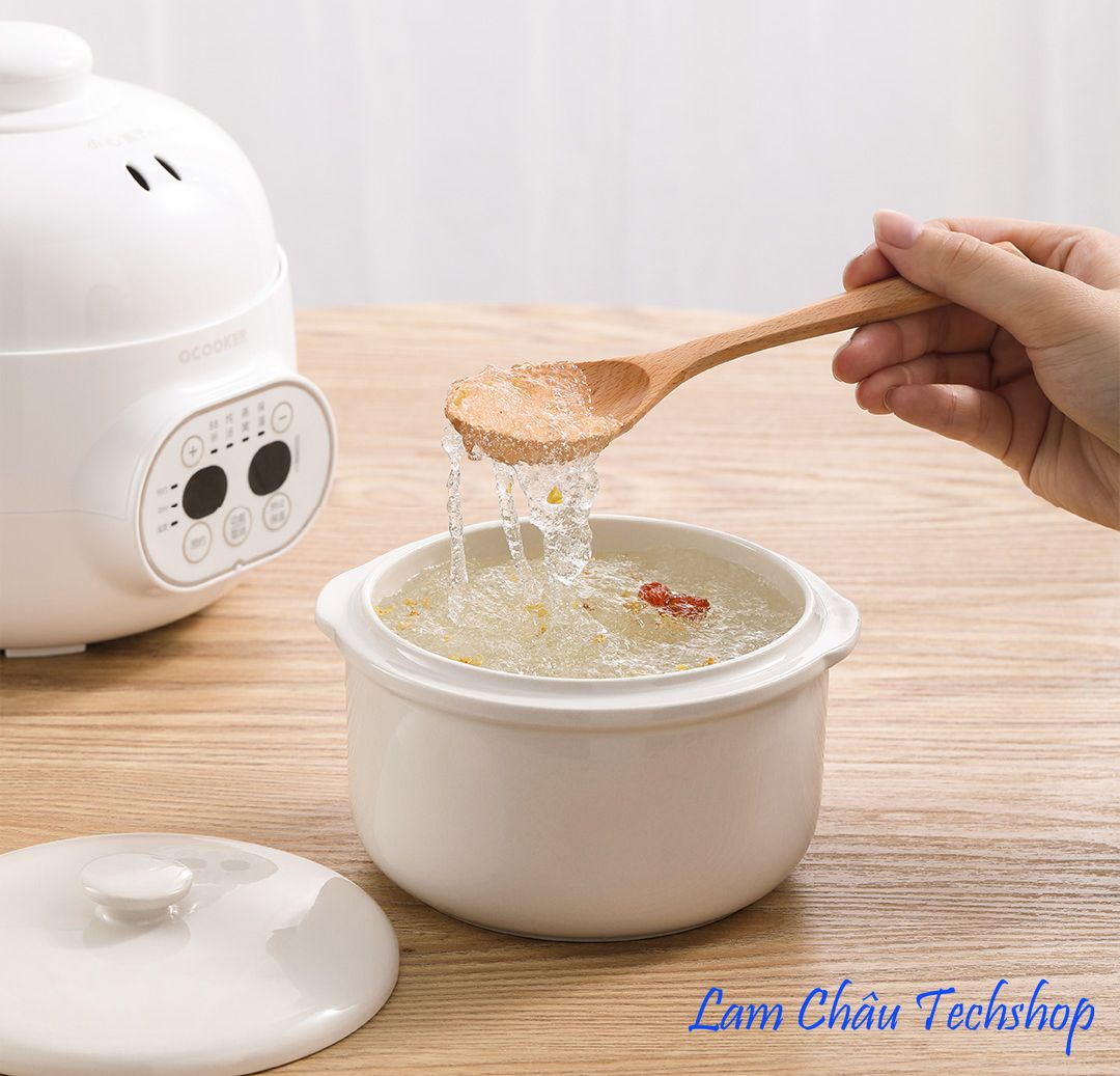 Nồi hầm cách thủy mini oCooker CR-DZ08