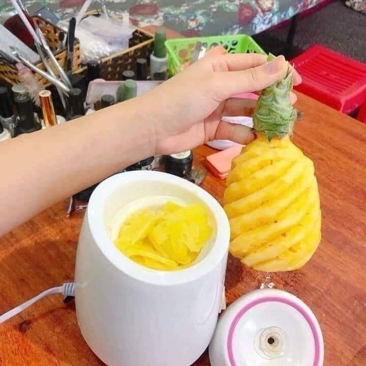 máy xông mặt hoa quả maoer