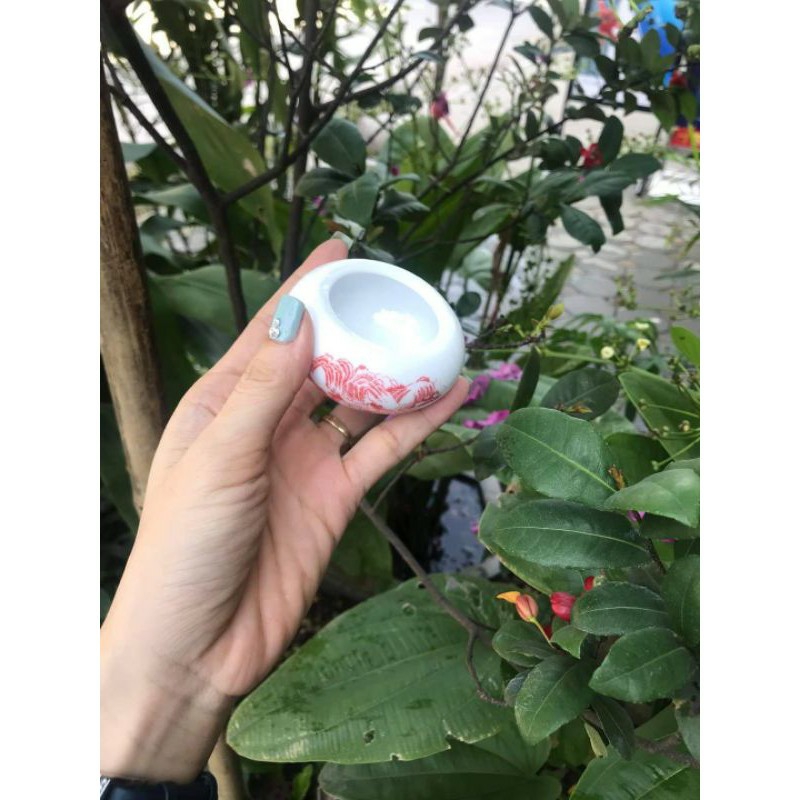 Combo 5 cóng sứ đựng sâu, dế cho chim mào, chòe