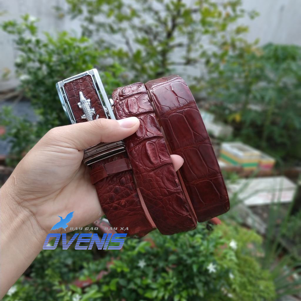 [FREE SHIP] Thắt lưng da cá sấu liền nguyên con. [BẢN RỘNG 3.5cm CÓ GAI RẤT ĐẸP]