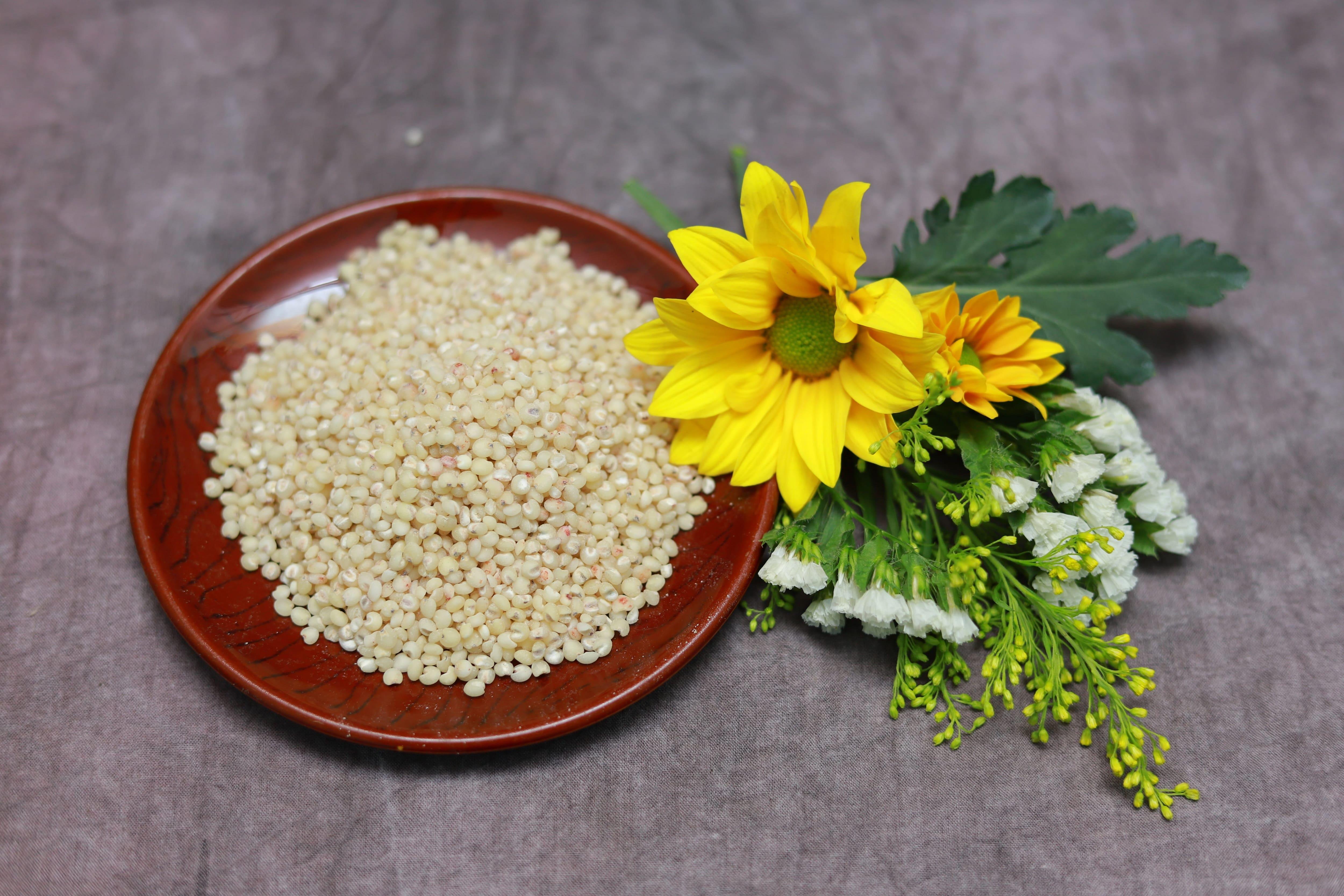 Hạt Ý Dĩ (Hạt Bobo) Nguyên Chất (500g)