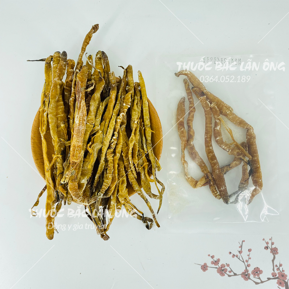Sá sùng quảng ninh 100g (Nấu nước dùng phở siêu ngọt, hàng khô sạch cát, to, dài ) - Thuốc bắc lãn ông