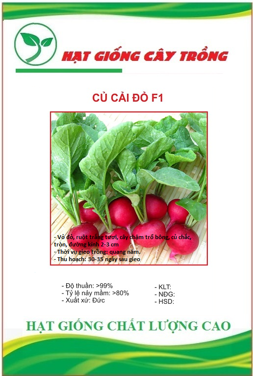 Hạt giống củ cải đỏ tròn f1 ct166 - gói 5gram