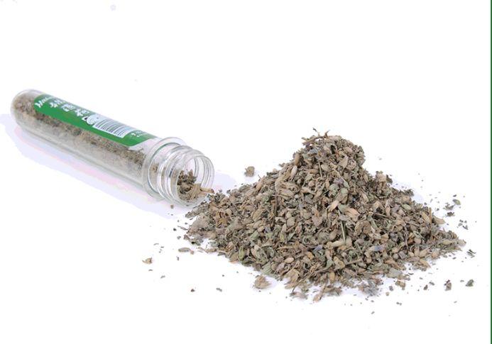 Cỏ bạc hà catnip cho mèo (40ml)