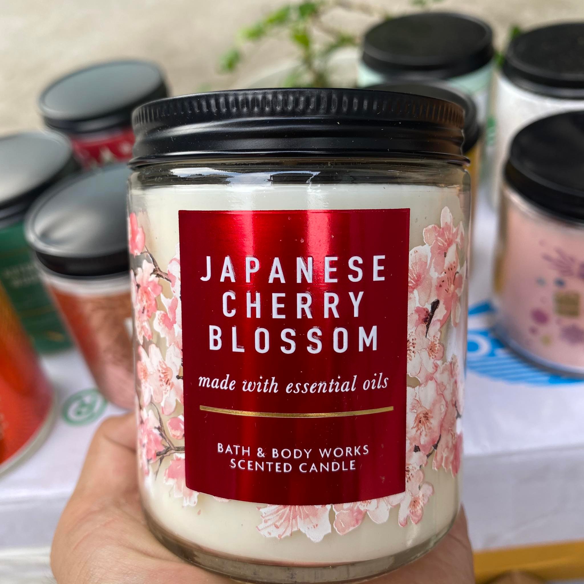 (Hàng Mỹ) Nến thơm 1 bấc BBW Bath & Body Works - 198gr