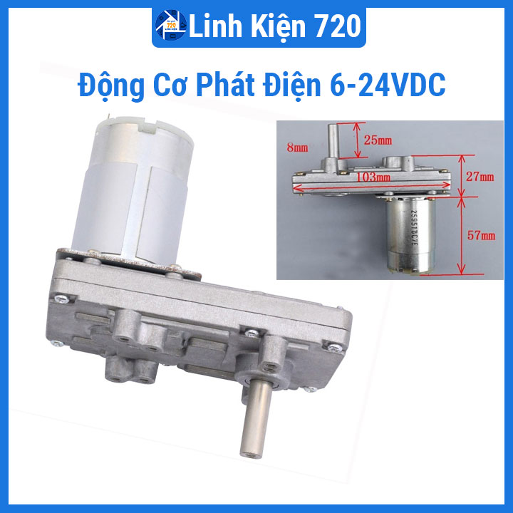 Động cơ giảm tốc, động cơ phát điện DS400 6-24VDC