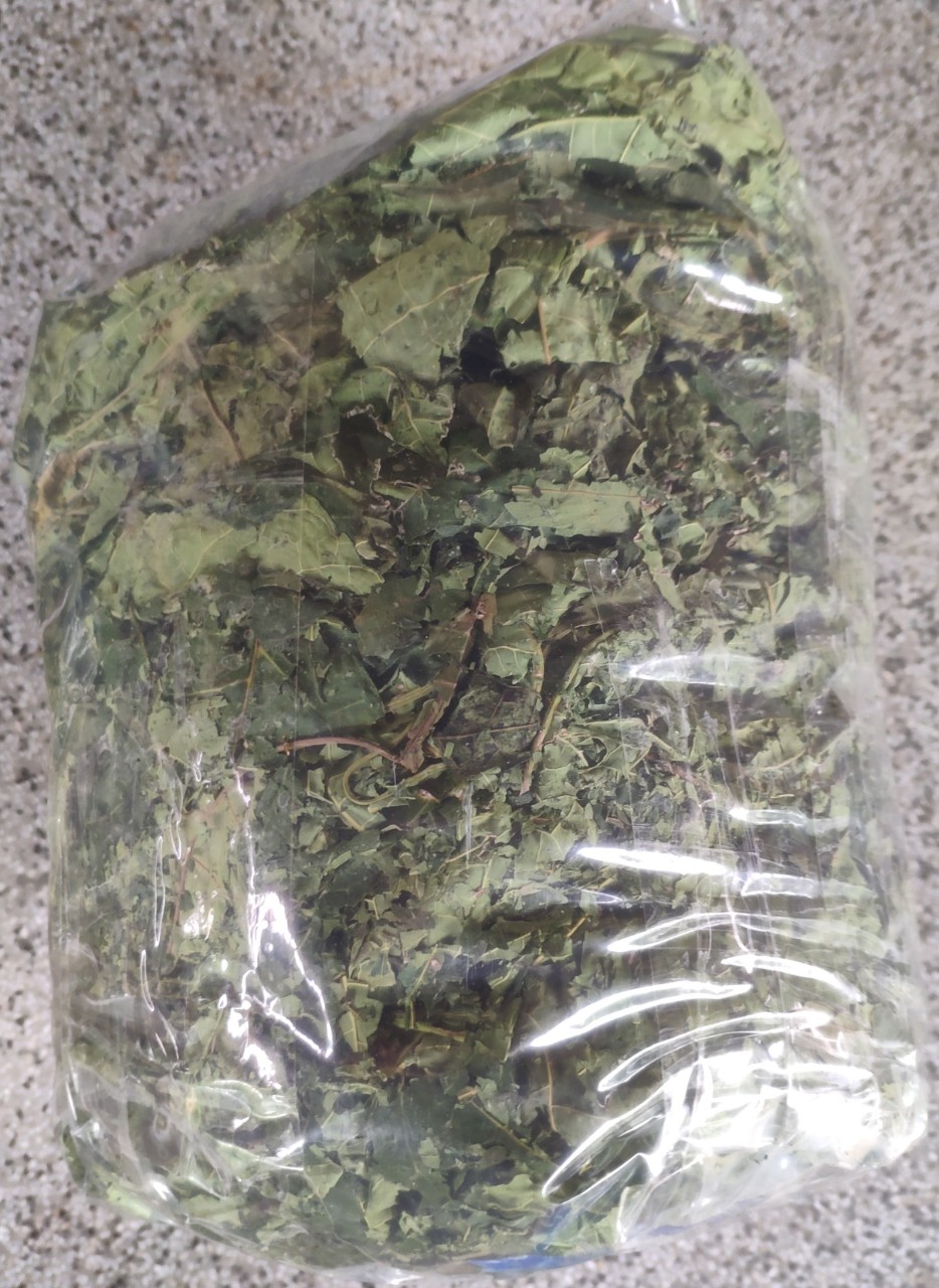 Green papaya đực dried 0.5 - 1kg premium nguonduoclieu remove addiction Road, help people with cancer