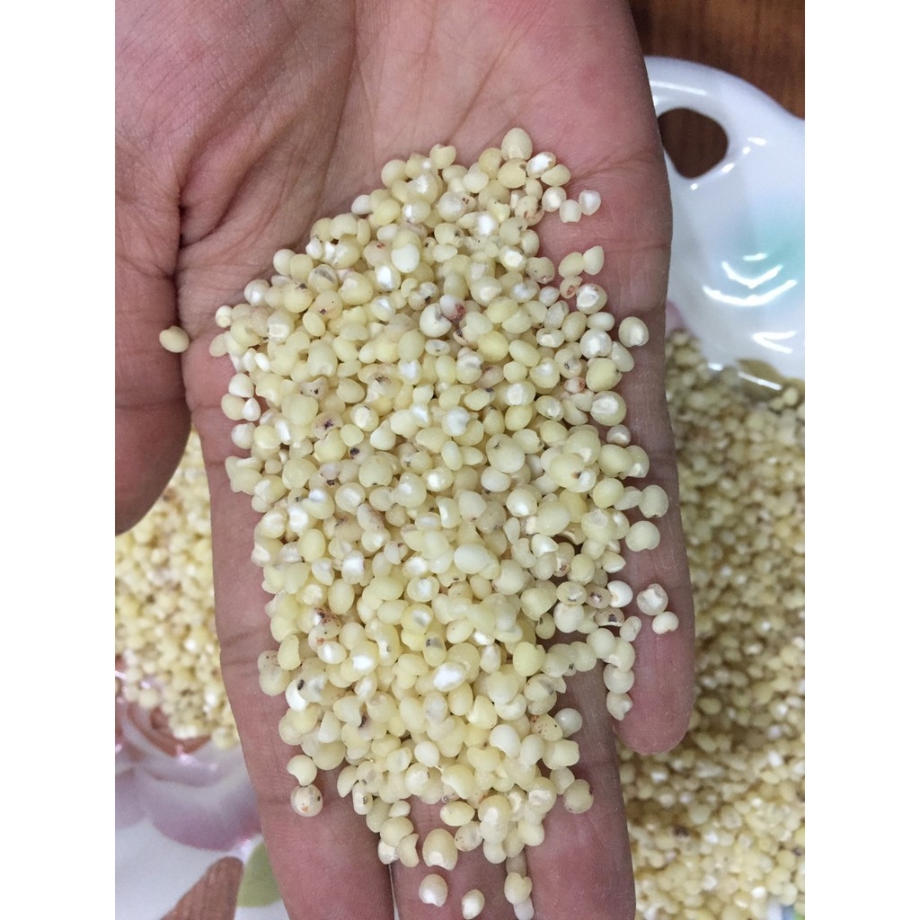 Hạt Ý Dĩ ( Hạt Bo Bo) 500Gr