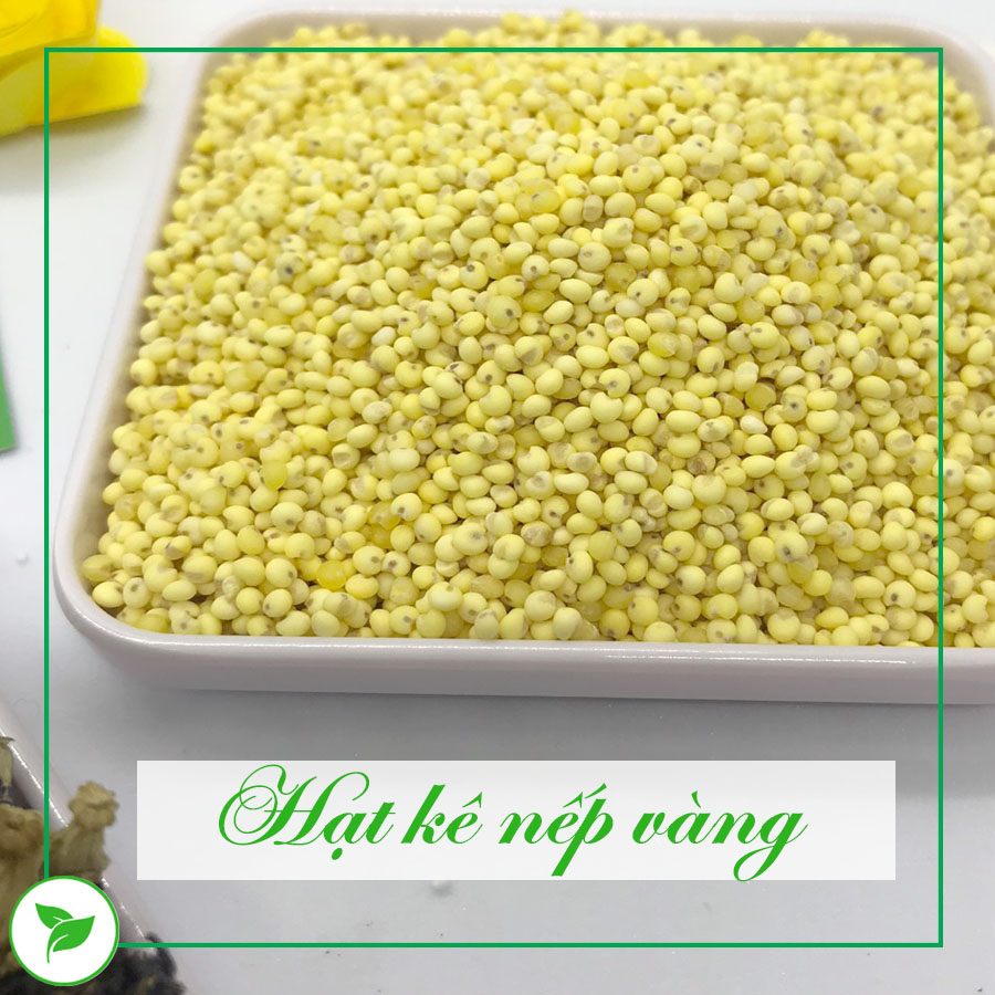 Hạt Kê Nếp Vàng Nghệ An - 100g