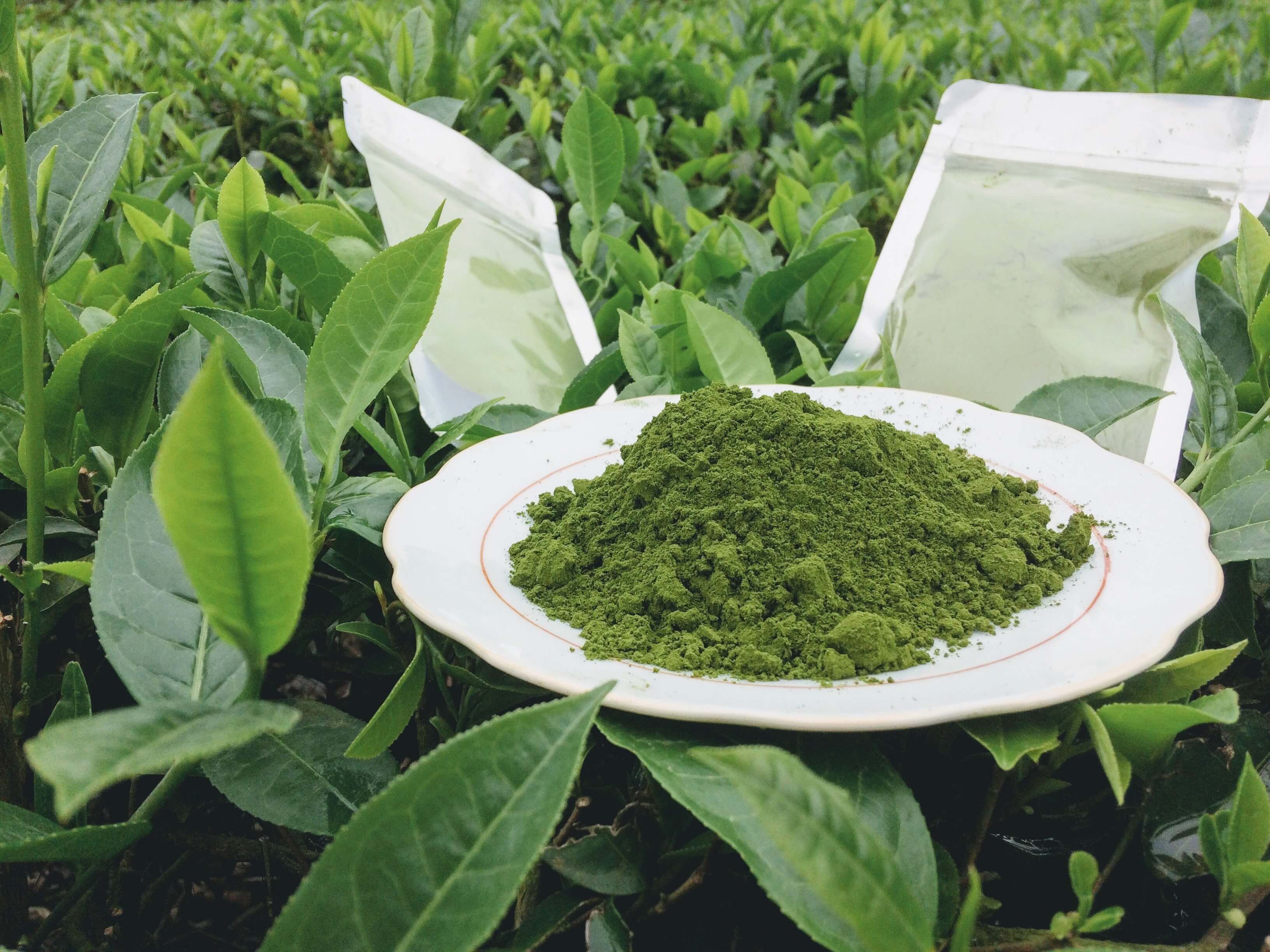 Bột trà xanh nguyên chất 100%