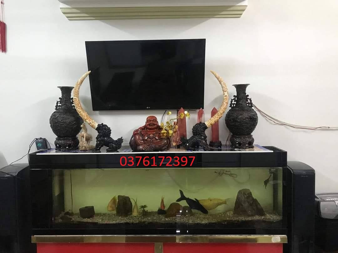 cặp kỳ lân ngậm ngà đá cao cấp