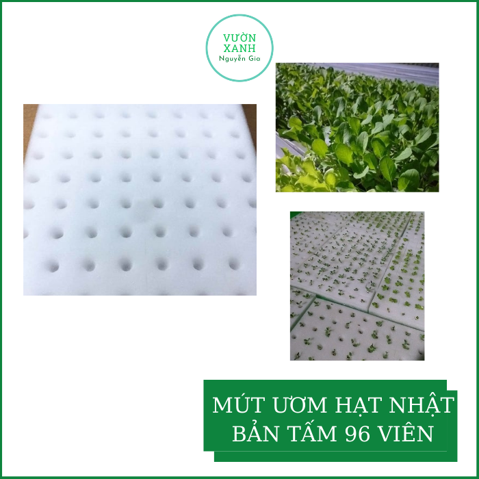Mút Xốp Ươm Hạt Nhật Bản 96 Viên