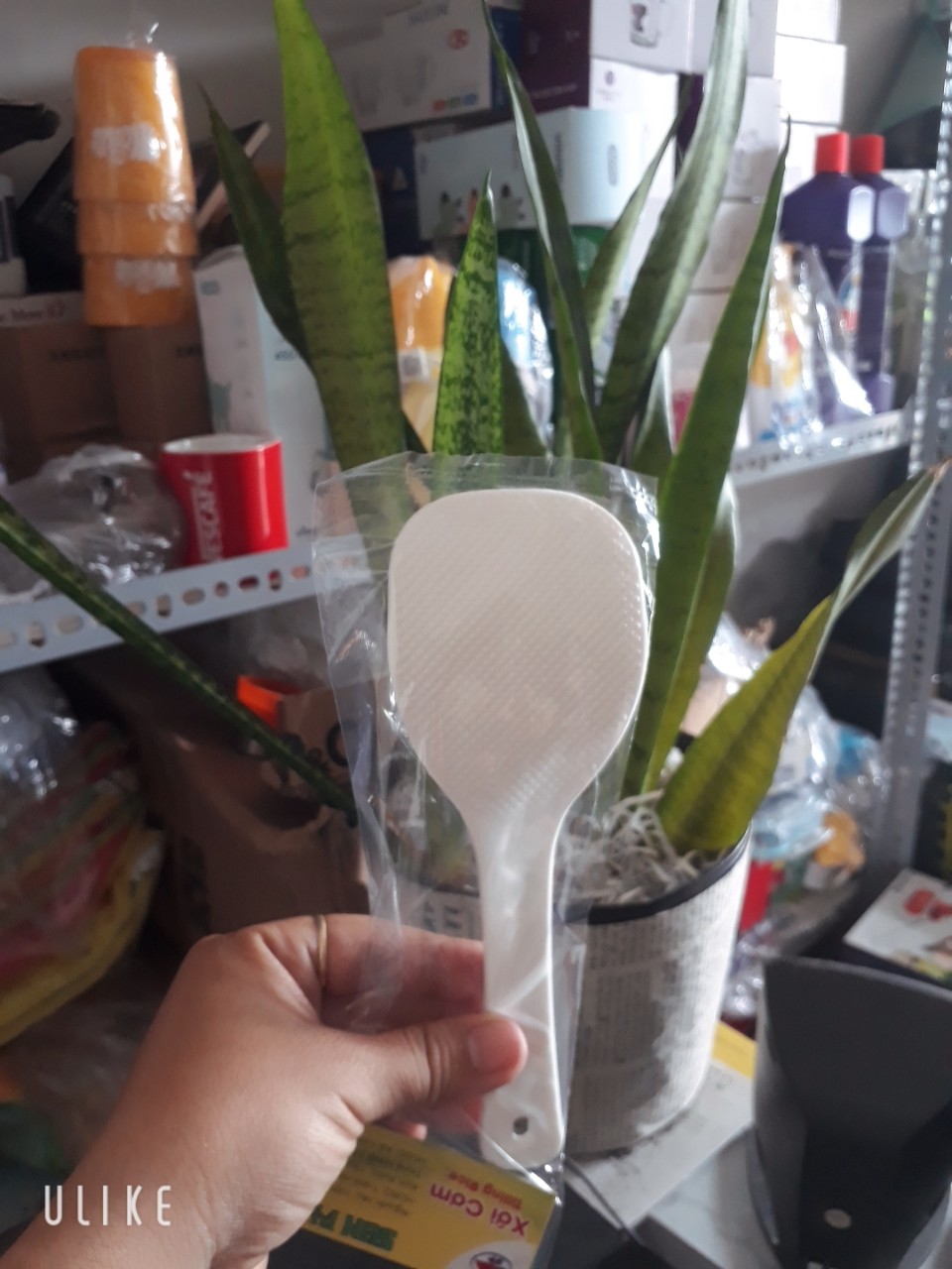 Vá,môi bới cơm chống dính