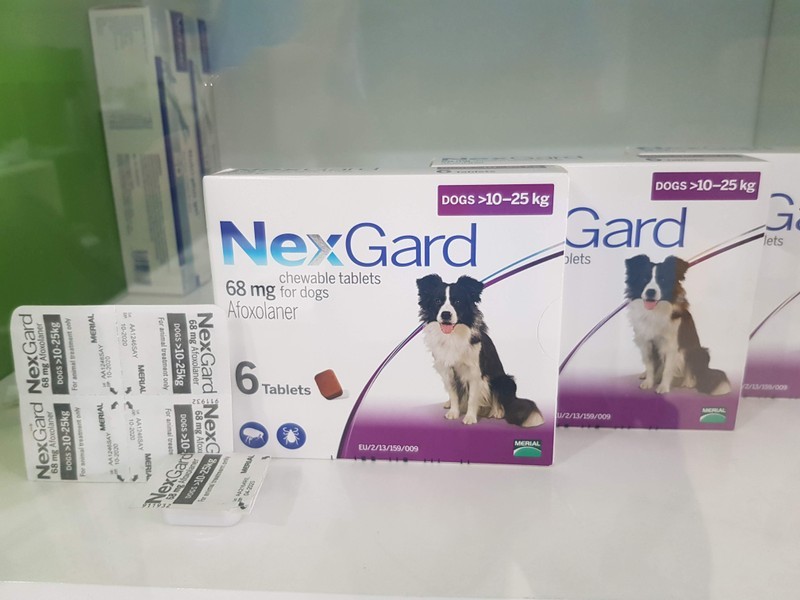 1 Hộp NexGard giúp loại bỏ ghẻ, ve, rận, bọ chét cho chó từ 10-25kg