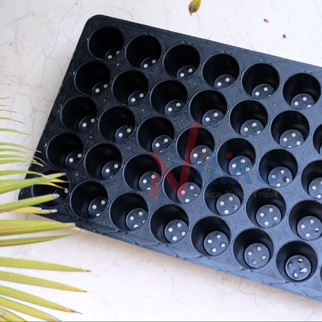 Combo 3 khay ươm cây giống Ecotray 40 lỗ ươm