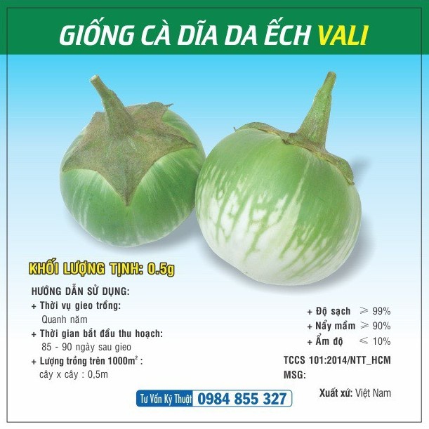 Hạt giống Cà Dĩa Da Ếch TN