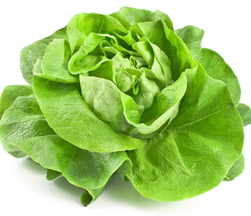 Túi 5 Gram Hạt giống rau xà lách đăm xanh