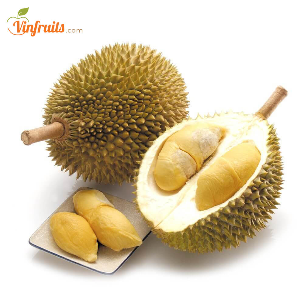 Cây giống Sầu Riêng Thái Lan. ( Dona ghép giống chuẩn)