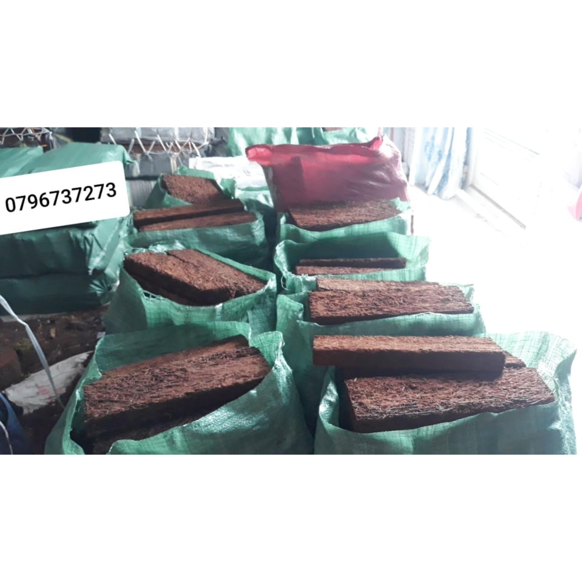 Combo 5 chậu nhựa giả gỗ phi 26